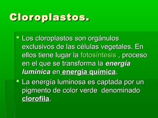 Clor oplastos.

  Los cloroplastos son orgánulos
   exclusivos de las células vegetales. En
   ellos tiene lugar la fotosíntesis , proceso
   en el que se transforma la energía
   lumínica en energía química.
  La energía luminosa es captada por un
   pigmento de color verde denominado
   clorofila.
 