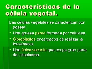 Car acterísticas de la
célula ve getal.
 Las células vegetales se caracterizan por
   poseer:
  Una gruesa pared formada por celulosa.
  Cloroplastos encargados de realizar la
   fotosíntesis.
  Una única vacuola que ocupa gran parte
   del citoplasma.
 