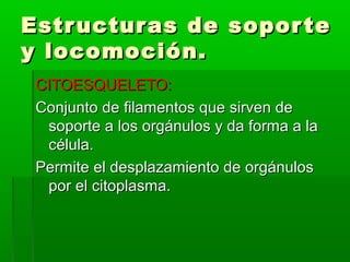 Estr uctur as de sopor te
y locomoción.
 CITOESQUELETO:
 Conjunto de filamentos que sirven de
  soporte a los orgánulos y da forma a la
  célula.
 Permite el desplazamiento de orgánulos
  por el citoplasma.
 