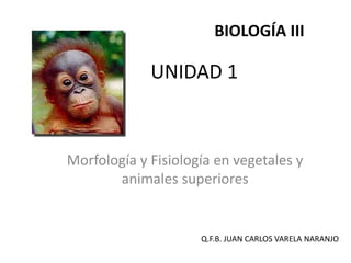 UNIDAD 1
Morfología y Fisiología en vegetales y
animales superiores
Q.F.B. JUAN CARLOS VARELA NARANJO
BIOLOGÍA III
 