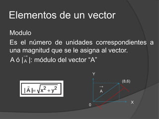 Elementos de un vector
Direccion
Es la línea de acción de un vector; su orientación
respecto del sistema de coordenadas ca...