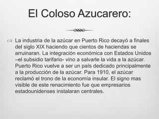 El Coloso Azucarero:
 La industria de la azúcar en Puerto Rico decayó a finales
del siglo XIX haciendo que cientos de haciendas se
arruinaran. La integración económica con Estados Unidos
–el subsidio tarifario- vino a salvarle la vida a la azúcar.
Puerto Rico vuelve a ser un país dedicado principalmente
a la producción de la azúcar. Para 1910, el azúcar
reclamó el trono de la economía insular. El signo mas
visible de este renacimiento fue que empresarios
estadounidenses instalaran centrales.
 