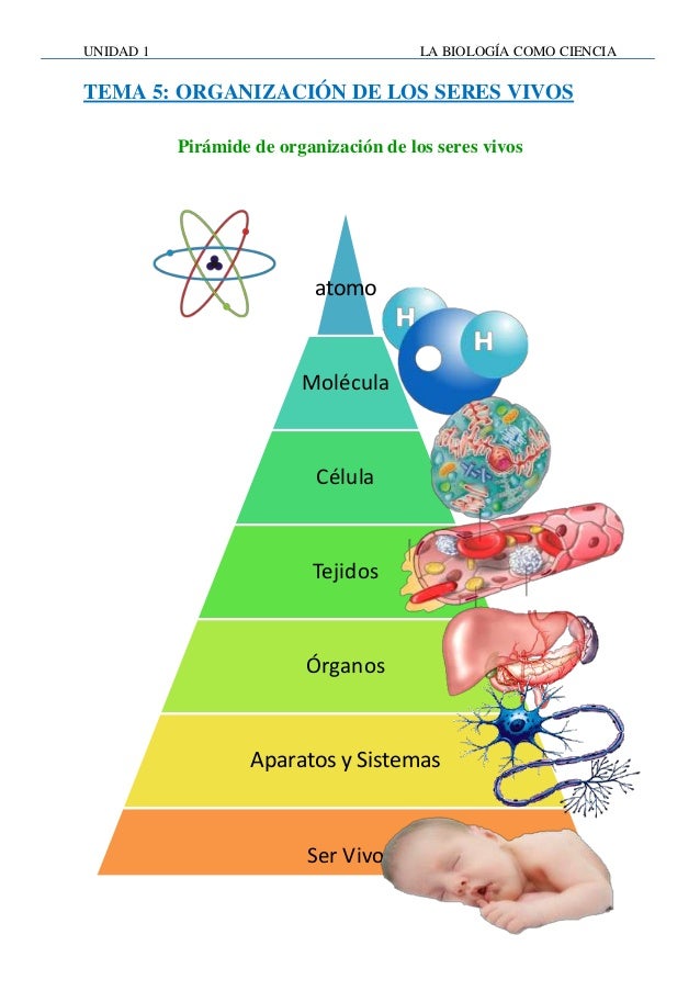 Unidad 1 ciencias biologicas