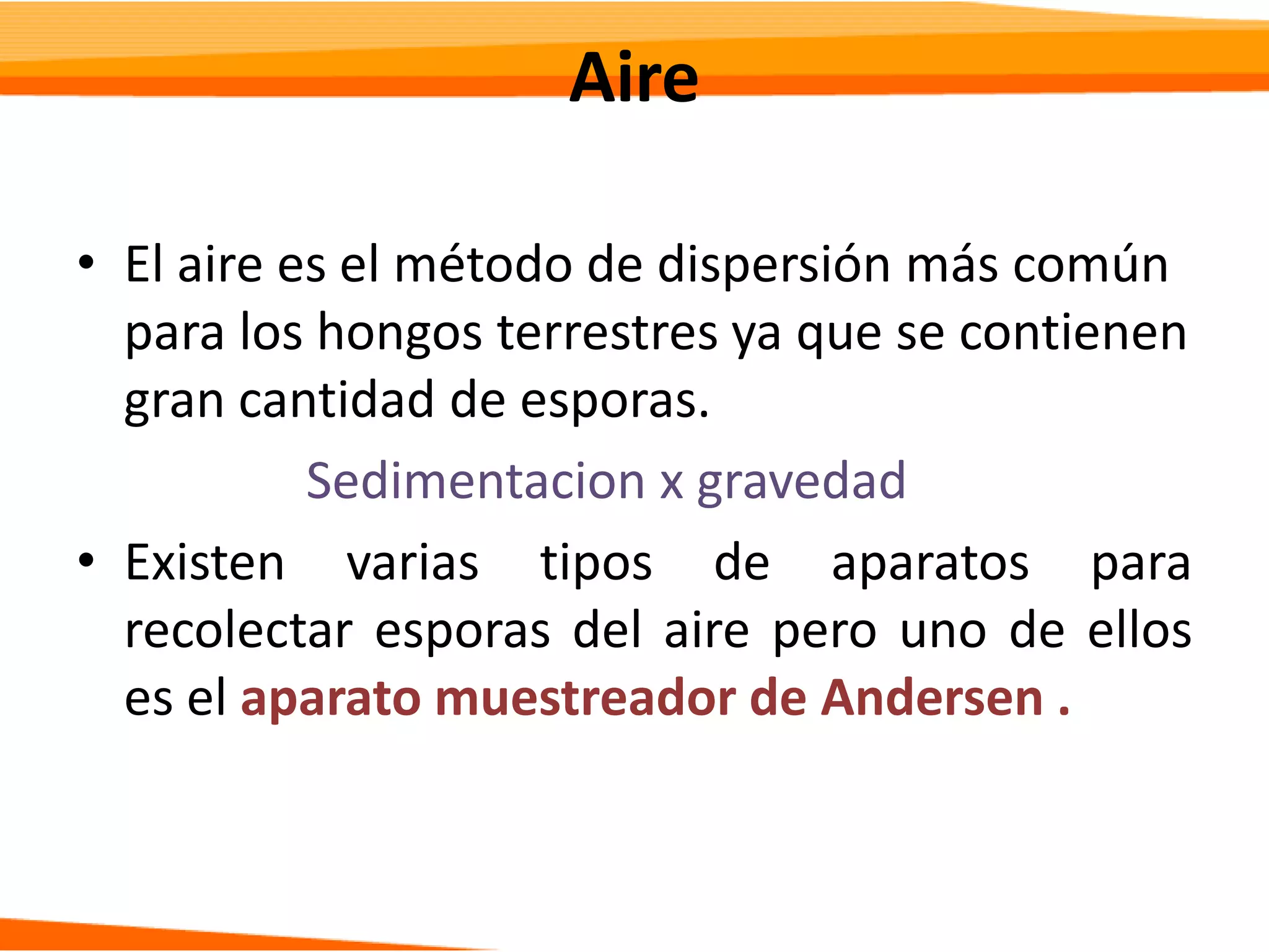 Slide 11