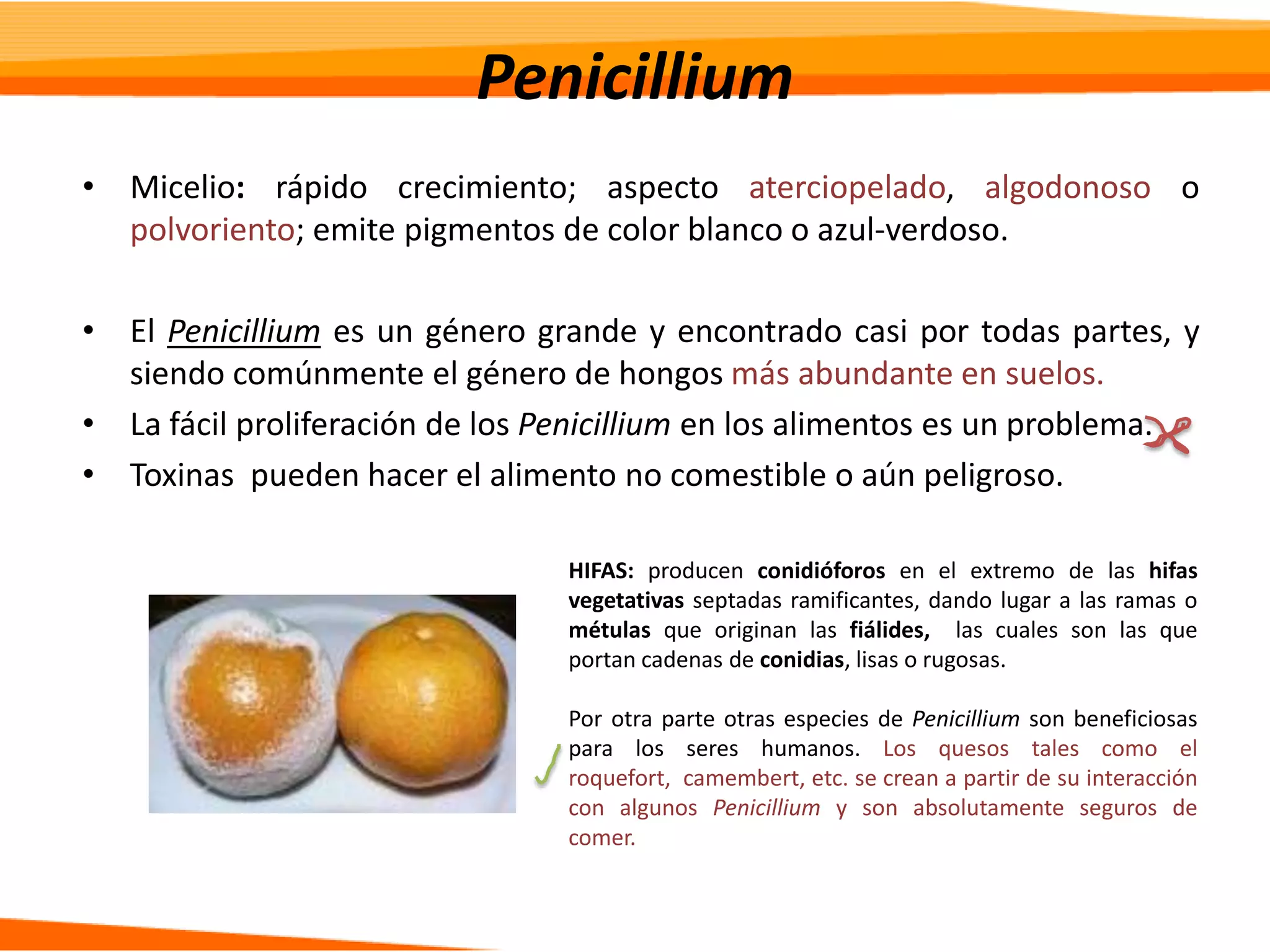 Slide 20