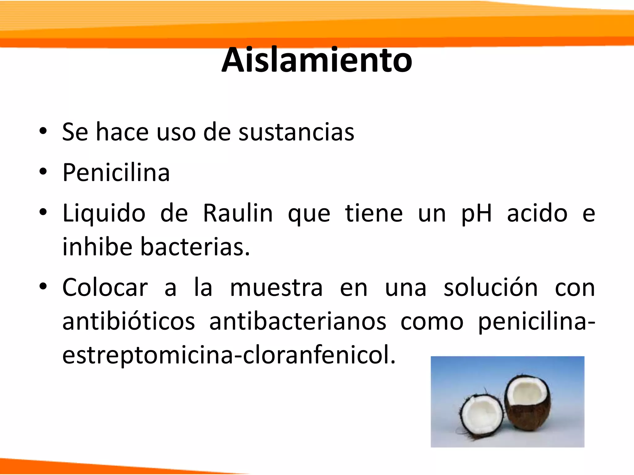 Slide 7
