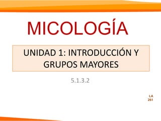 MICOLOGÍA  UNIDAD 1: INTRODUCCIÓN Y GRUPOS MAYORES  5.1.3.2 LA 261 