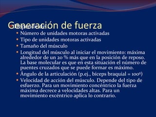 Generación de fuerza Depende de : Número de unidades motoras activadas Tipo de unidades motoras activadas Tamaño del músculo Longitud del músculo al iniciar el movimiento: máxima alrededor de un 20 % más que en la posición de reposo.  La base molecular es que en esta situación el número de puentes cruzados que se puede formar es máximo. Ángulo de la articulación (p.ej., bíceps braquial = 100º) Velocidad de acción del músculo. Depende del tipo de esfuerzo. Para un movimiento concéntrico la fuerza máxima decrece a velocidades altas. Para un movimiento excéntrico aplica lo contrario.  