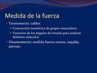 Medida de la fuerza Tensiometria: cables.  Contracción isométrica de grupos musculares. Variación de los ángulos de tensión para analizar distintos músculos Dinamometría: medida fuerza manos, espalda, piernas. 