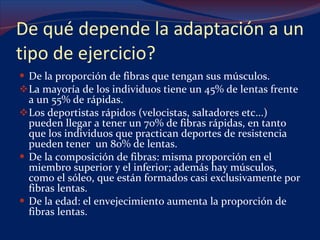 De qué depende la adaptación a un tipo de ejercicio? De la proporción de fibras que tengan sus músculos.  La mayoría de los individuos tiene un 45% de lentas frente a un 55% de rápidas.  Los deportistas rápidos (velocistas, saltadores etc...) pueden llegar a tener un 70% de fibras rápidas, en tanto que los individuos que practican deportes de resistencia pueden tener  un 80% de lentas.  De la composición de fibras: misma proporción en el miembro superior y el inferior; además hay músculos, como el sóleo, que están formados casi exclusivamente por fibras lentas.  De la edad: el envejecimiento aumenta la proporción de fibras lentas. 