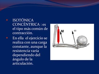 ISOTÓNICA CONCÉNTRICA : es el tipo más común de contracción.  En ella  el ejercicio se realiza con una carga constante, aunque la resistencia varía dependiendo del ángulo de la articulación. 