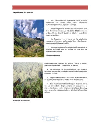 18
La pradera de alta montaña
 Está conformada por especies de pastos de pocos
centímetros de altura como Estuca amplísima,
Muhlenbergia macrura, Sipa icho y Eringio.
 Se restringe en las montañas y volcanes más altos
de la República mexicana, a más de los 3,500 msnm, por
arriba del límite de distribución de árboles y cerca de las
nieves perpetúas.
 Es frecuente en el norte de la altiplanicie
mexicana, así como en los llanos de Upan y San Juan, en
los estados de Hidalgo y Puebla.
 Aunque se desarrollanactividadesde ganadería,la
principal actividad que se realiza en este tipo de
vegetación es turística.
El bosque de encino
Conformado por especies del género Quecos o Robles,
presenta árboles de 6 a 8 o hasta de 30 metros.
 Se distribuye casi por todo el país y sus diversas
latitudes,porloque el clima varía de calientes o templados
húmedos a secos.
 La precipitaciónmediaanual varía de 350 mm a más
de 2,00mm, la temperatura media anual de 10 a 26 ° C.
 Está muy relacionado con bosques de pinos, por lo
que las comunidades de pino-encino son las que tiene la
mayor distribución en los sistemas montañosos del país, y
son a su vez, las más explotadas en la industria forestal de
México.
El bosque de coníferas
 