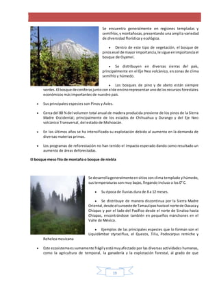 19
Se encuentra generalmente en regiones templadas y
semifríos,ymontañosas,presentando una amplia variedad
de diversidad florística y ecológica.
 Dentro de este tipo de vegetación, el bosque de
pinosesel de mayor importancia,le sigue enimportanciael
bosque de Oyamel.
 Se distribuyen en diversas sierras del país,
principalmente en el Eje Neo volcánico, en zonas de clima
semifrío y húmedo.
 Los bosques de pino y de abeto están siempre
verdes.El bosque de coníferasjuntoconel de encinorepresentanunode losrecursos forestales
económicos más importantes de nuestro país.
 Sus principales especies son Pinos y Avíes.
 Cerca del 80 %del volumen total anual de madera producida proviene de los pinos de la Sierra
Madre Occidental; principalmente de los estados de Chihuahua y Durango y del Eje Neo
volcánico Transversal, del estado de Michoacán.
 En los últimos años se ha intensificado su explotación debido al aumento en la demanda de
diversas materias primas.
 Los programas de reforestación no han tenido el impacto esperado dando como resultado un
aumento de áreas deforestadas.
El bosque meso filo de montaña o bosque de niebla
Se desarrollageneralmenteensitiosconclima templado y húmedo,
sus temperaturas son muy bajas, llegando incluso a los 0° C.
 Su época de lluvias dura de 8 a 12 meses.
 Se distribuye de manera discontinua por la Sierra Madre
Oriental, desde el suroestede Tamaulipashastael norte de Oaxacay
Chiapas y por el lado del Pacífico desde el norte de Sinaloa hasta
Chiapas, encontrándose también en pequeños manchones en el
Valle de México.
 Ejemplos de las principales especies que lo forman son el
Liquidámbar styraciflua, el Quecos, Tilia, Podocarpus remiche y
Rehelea mexicana
 Este ecosistemaessumamente frágilyestámuyafectado por las diversas actividades humanas,
como la agricultura de temporal, la ganadería y la explotación forestal, al grado de que
 