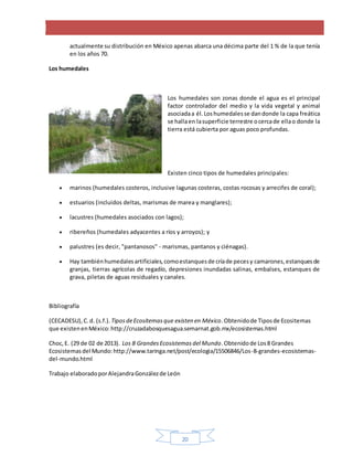 20
actualmente su distribución en México apenas abarca una décima parte del 1 % de la que tenía
en los años 70.
Los humedales
Los humedales son zonas donde el agua es el principal
factor controlador del medio y la vida vegetal y animal
asociadaa él.Loshumedalesse dandonde la capa freática
se hallaen lasuperficie terrestre ocercade ellao donde la
tierra está cubierta por aguas poco profundas.
Existen cinco tipos de humedales principales:
 marinos (humedales costeros, inclusive lagunas costeras, costas rocosas y arrecifes de coral);
 estuarios (incluidos deltas, marismas de marea y manglares);
 lacustres (humedales asociados con lagos);
 ribereños (humedales adyacentes a ríos y arroyos); y
 palustres (es decir, "pantanosos" - marismas, pantanos y ciénagas).
 Hay tambiénhumedalesartificiales,comoestanquesde críade pecesy camarones,estanquesde
granjas, tierras agrícolas de regadío, depresiones inundadas salinas, embalses, estanques de
grava, piletas de aguas residuales y canales.
Bibliografía
(CECADESU),C.d. (s.f.). TiposdeEcositemasque existen en México.Obtenidode Tiposde Ecositemas
que existenenMéxico:http://cruzadabosquesagua.semarnat.gob.mx/ecosistemas.html
Choc,E. (29 de 02 de 2013). Los 8 GrandesEcosistemasdel Mundo.Obtenidode Los8 Grandes
Ecosistemasdel Mundo:http://www.taringa.net/post/ecologia/15506846/Los-8-grandes-ecosistemas-
del-mundo.html
Trabajo elaboradoporAlejandraGonzálezde León
 