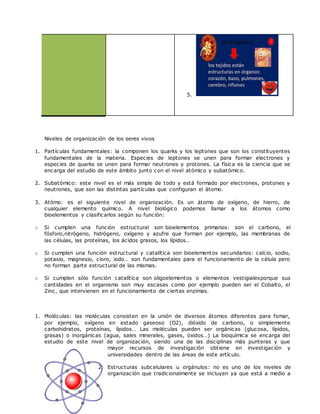 5.
Niveles de organización de los seres vivos
1. Partículas fundamentales: la componen los quarks y los leptones que son los constituyentes
fundamentales de la materia. Especies de leptones se unen para formar electrones y
especies de quarks se unen para formar neutrones y protones. La física es la ciencia que se
encarga del estudio de este ámbito junto con el nivel atómico y subatómico.
2. Subatómico: este nivel es el más simple de todo y está formado por electrones, protones y
neutrones, que son las distintas partículas que configuran el átomo.
3. Atómo: es el siguiente nivel de organización. Es un átomo de oxígeno, de hierro, de
cualquier elemento químico. A nivel biológico podemos llamar a los átomos como
bioelementos y clasificarlos según su función:
o Si cumplen una función estructural son bioelementos primarios: son el carbono, el
fósforo,nitrógeno, hidrógeno, oxígeno y azufre que forman por ejemplo, las membranas de
las células, las proteínas, los ácidos grasos, los lípidos…
o Si cumplen una función estructural y catalítica son bioelementos secundarios: calcio, sodio,
potasio, magnesio, cloro, iodo… son fundamentales para el funcionamiento de la célula pero
no forman parte estructural de las mismas.
o Si cumplen sólo función catalítica son oligoelementos o elementos vestigialesporque sus
cantidades en el organismo son muy escasas como por ejemplo pueden ser el Cobalto, el
Zinc, que intervienen en el funcionamiento de ciertas enzimas.
1. Moléculas: las moléculas consisten en la unión de diversos átomos diferentes para fomar,
por ejemplo, oxígeno en estado gaseoso (O2), dióxido de carbono, o simplemente
carbohidratos, proteínas, lípidos… Las moléculas pueden ser orgánicas (glucosa, lípidos,
grasas) o inorgánicas (agua, sales minerales, gases, óxidos…) La bioquímica se encarga del
estudio de este nivel de organización, siendo una de las disciplinas más punteras y que
mayor recursos de investigación obtiene en investigación y
universidades dentro de las áreas de este artículo.
2. Estructuras subcelulares u orgánulos: no es uno de los niveles de
organización que tradicionalmente se incluyen ya que está a medio a
 