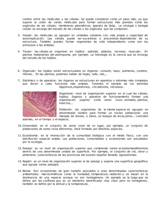 camino entre las moléculas y las células. Se puede considerar como un paso más, ya que
supone la unión de varias moléculas para formar estructuras más grandes como los
orgánulos de las células: membranas plasmáticas, aparato de Golgi… La citología o biología
celular se encarga del estudio de las células y los orgánulos que las componen.
3. Celular: las moléculas se agrupan en unidades celulares con vida propia y capacidad de
autorreplicación. Las células puede ser eucariotas o procariotas dependiendo de su
estructura. También pueden formar organismos de vida independiente como son los
protozoos o las amebas.
4. Tisular: las células se organizan en tejidos: epitelial, adiposo, nervioso, muscular… En
plantas hablaríamos del parénquima, por ejemplo. La histología es la ciencia que se encarga
del estudio de los tejidos.
6. Organular: los tejidos están estructurados en órganos: corazón, bazo, pulmones, cerebro,
riñones… En las plantas, podemos hablar de hojas, tallo, raíz,…
7. Sistémico o de aparatos: los órganos se estructuran en aparatos o sistemas más complejos
que llevan a cabo funciones más amplias. Tenemos el ejemplo de los sistemas
digestivos,respiratorios, circulatorios, nerviosos…
8. Organismo: nivel de organización superior en el cual las células,
tejidos, órganos y aparatos de funcionamiento forman una
organización superior como seres vivos: animales, plantas,
insectos,…
9. Población: los organismos de la misma especie se agrupan en
determinado número para formar un núcleo poblacional: una
manada de leones, o lobos, un bosque de arces,pinos… coinciden
además, en el tiempo y el espacio.
10. Comunidad: es el conjunto de seres vivos de un lugar, por ejemplo, un conjunto de
poblaciones de seres vivos diferentes. Está formada por distintas especies.
11. Ecosistema: es la interacción de la comunidad biológica con el medio físico, con una
distribución espacial amplia. Las poblaciones, comunidades y ecosistemas son estudiados
por la ecología.
12. Paisaje: es un nivel de organización superior que comprende varios ecosistemasdiferentes
dentro de una determinada unidad de superficie. Por ejemplo, el conjunto de vid, olivar y
almendros características de las provincias del sureste español llamado agrosistemas.
13. Región: es un nivel de organización superior al de paisaje y supone una superficie geográfica
que agrupa varios paisajes.
14. Bioma: Son ecosistemas de gran tamaño asociados a unas determinadas características
ambientales: macroclimáticas como la humedad, temperatura, radiación y se basan en la
dominancia de una especie aunque no son homogéneos. Un ejemplo es la taiga que se
define por las coníferas que es un elemento identificador muy claro pero no homogéneo,
también se define por la latitud y la temperatura.
 