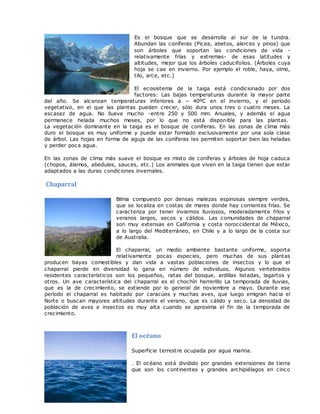 Es el bosque que se desarrolla al sur de la tundra.
Abundan las coníferas (Picea, abetos, alerces y pinos) que
son árboles que soportan las condiciones de vida -
relativamente frías y extremas- de esas latitudes y
altitudes, mejor que los árboles caducifolios. (Árboles cuya
hoja se cae en invierno. Por ejemplo el roble, haya, olmo,
tilo, arce, etc.)
El ecosistema de la taiga está condicionado por dos
factores: Las bajas temperaturas durante la mayor parte
del año. Se alcanzan temperaturas inferiores a – 40ºC en el invierno, y el periodo
vegetativo, en el que las plantas pueden crecer, sólo dura unos tres o cuatro meses. La
escasez de agua. No llueve mucho -entre 250 y 500 mm. Anuales, y además el agua
permanece helada muchos meses, por lo que no está disponible para las plantas.
La vegetación dominante en la taiga es el bosque de coníferas. En las zonas de clima más
duro el bosque es muy uniforme y puede estar formado exclusivamente por una sola clase
de árbol. Las hojas en forma de aguja de las coníferas les permiten soportar bien las heladas
y perder poca agua.
En las zonas de clima más suave el bosque es mixto de coníferas y árboles de hoja caduca
(chopos, álamos, abedules, sauces, etc.) Los animales que viven en la taiga tienen que estar
adaptados a las duras condiciones invernales.
Chaparral
Bilma compuesto por densas malezas espinosas siempre verdes,
que se localiza en costas de mares donde hay corrientes frías. Se
caracteriza por tener inviernos lluviosos, moderadamente fríos y
veranos largos, secos y cálidos. Las comunidades de chaparral
son muy extensas en California y costa noroccidental de México,
a lo largo del Mediterráneo, en Chile y a lo largo de la costa sur
de Australia.
El chaparral, un medio ambiente bastante uniforme, soporta
relativamente pocas especies, pero muchas de sus plantas
producen bayas comestibles y dan vida a vastas poblaciones de insectos y lo que el
chaparral pierde en diversidad lo gana en número de individuos. Algunos vertebrados
residentes característicos son los pequeños, ratas del bosque, ardillas listadas, lagartos y
otros. Un ave característica del chaparral es el chochín herrerillo La temporada de lluvias,
que es la de crecimiento, se extiende por lo general de noviembre a mayo. Durante ese
período el chaparral es habitado por caracúes y muchas aves, que luego emigran hacia el
Norte o buscan mayores altitudes durante el verano, que es cálido y seco. La densidad de
población de aves e insectos es muy alta cuando se aproxima el fin de la temporada de
crecimiento.
El océano
Superficie terrestre ocupada por agua marina.
. El océano está dividido por grandes extensiones de tierra
que son los continentes y grandes archipiélagos en cinco
 
