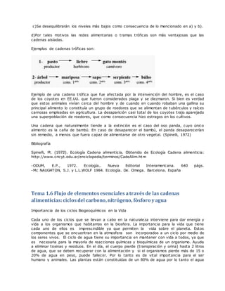c)Se desequilibrarán los niveles más bajos como consecuencia de lo mencionado en a) y b).
d)Por tales motivos las redes alimentarias o tramas tróficas son más ventajosas que las
cadenas aisladas.
Ejemplos de cadenas tróficas son:
Ejemplo de una cadena trófica que fue afectada por la intervención del hombre, es el caso
de los coyotes en EE.UU. que fueron considerados plaga y se diezmaron. Si bien es verdad
que estos animales vivían cerca del hombre y de cuando en cuando robaban una gallina su
principal alimento lo constituía un grupo de roedores que se alimentan de tubérculos y raíces
carnosas empleadas en agricultura. La desaparición casi total de los coyotes trajo aparejado
una superpoblación de roedores, que como consecuencia hizo estragos en los cultivos.
Una cadena que naturalmente tiende a la extinción es el caso del oso panda, cuyo único
alimento es la caña de bambú. En caso de desaparecer el bambú, el panda desaparecerían
sin remedio, a menos que fuera capaz de alimentarse de otro vegetal. (Spinelli, 1972)
Bibliografía
Spinelli, M. (1972). Ecología Cadena alimenticia. Obtenido de Ecología Cadena alimenticia:
http://www.cricyt.edu.ar/enciclopedia/terminos/CadeAlim.htm
-ODUM, E.P., 1972. Ecología.. Nueva Editorial Interamericana. 640 págs.
-Mc NAUGHTON, S.J. y L.L.WOLF 1984. Ecología. De. Omega. Barcelona. España
Tema 1.6 Flujo de elementos esenciales através de las cadenas
alimenticias:ciclos del carbono,nitrógeno, fósforo y agua
Importancia de los ciclos Biogeoquímicos en la Vida
Cada uno de los ciclos que se llevan a cabo en la naturaleza interviene para dar energía y
vida a los organismos que habitamos en la biosfera. La importancia para la vida que tiene
cada uno de ellos es imprescindible ya que permiten la vida sobre el planeta. Estos
componentes que se encuentran en la atmosfera son incorporados a un ciclo por medio de
los seres vivos. El ciclo de agua tiene su importancia en mantener con vida a todos, ya que
es necesaria para la mayoría de reacciones químicas y bioquímicas de un organismo. Ayuda
a eliminar toxinas y residuos. En el día, el cuerpo pierde (transpiración y orina) hasta 2 litros
de agua, que se deben recuperar con la alimentación y si el organismos pierde más de 15 o
20% de agua en peso, puede fallecer. Por lo tanto es de vital importancia para el ser
humano y animales. Las plantas están constituidas de un 80% de agua por lo tanto el agua
 