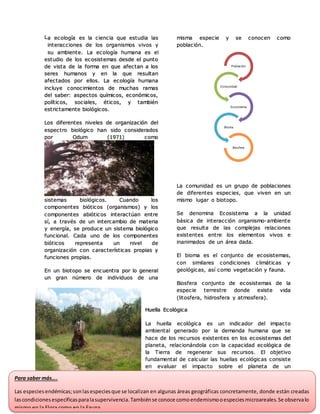 1
a ecología es la ciencia que estudia las
interacciones de los organismos vivos y
su ambiente. La ecología humana es el
estudio de los ecosistemas desde el punto
de vista de la forma en que afectan a los
seres humanos y en la que resultan
afectados por ellos. La ecología humana
incluye conocimientos de muchas ramas
del saber: aspectos químicos, económicos,
políticos, sociales, éticos, y también
estrictamente biológicos.
Los diferentes niveles de organización del
espectro biológico han sido considerados
por Odum (1971) como
sistemas biológicos. Cuando los
componentes bióticos (organismos) y los
componentes abióticos interactúan entre
sí, a través de un intercambio de materia
y energía, se produce un sistema biológico
funcional. Cada uno de los componentes
bióticos representa un nivel de
organización con características propias y
funciones propias.
En un biotopo se encuentra por lo general
un gran número de individuos de una
misma especie y se conocen como
población.
La comunidad es un grupo de poblaciones
de diferentes especies, que viven en un
mismo lugar o biotopo.
Se denomina Ecosistema a la unidad
básica de interacción organismo-ambiente
que resulta de las complejas relaciones
existentes entre los elementos vivos e
inanimados de un área dada.
El bioma es el conjunto de ecosistemas,
con similares condiciones climáticas y
geológicas, así como vegetación y fauna.
Biosfera conjunto de ecosistemas de la
especie terrestre donde existe vida
(litosfera, hidrosfera y atmosfera).
Huella Ecológica
La huella ecológica es un indicador del impacto
ambiental generado por la demanda humana que se
hace de los recursos existentes en los ecosistemas del
planeta, relacionándola con la capacidad ecológica de
la Tierra de regenerar sus recursos. El objetivo
fundamental de calcular las huellas ecológicas consiste
en evaluar el impacto sobre el planeta de un
determinado modo o forma de vida y, compararlo con
Población
Comunidad
Ecosistema
Bioma
Biosfera
L
Para saber más….
Las especiesendémicas;sonlasespeciesque se localizan en algunas áreas geográficas concretamente, donde están creadas
lascondicionesespecíficasparalasupervivencia.Tambiénse conoce comoendemismooespeciesmicroareales.Se observalo
mismo en la Flora como en la Fauna.
 