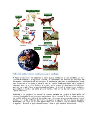 Reflexión sobre hábitos para favorecer la ecología.
Al hacer el estudio de mis acciones en estos cuatro ámbitos de la vida cotidiana que son:
consumo la energía y el agua que consumo, mi transporte y los residuos que produzco, me
he llegado a dar cuenta que es muy poco el aporte que hago para cuidar el entorno donde
vivo y contribuir a no dañar mi planeta, pues el estudio reflejo que puedo hacer bastantes
mejoras y solo con el hecho de tener la actitud y poner en practica algunas recomendaciones
que nos hacen para hacer el uso adecuado del agua y la energía y utilizar menos productos
que produzcan residuos así como procurar caminar más en vez de usar coche o cualquier
tipo de transporte.
Referente a mi consumo de energía he tratado siempre de cuidarlo y estoy entre un
consumo moderado de este recurso, pero puedo hacer cambios de focos, utilizar la menos
luz posible, utilizar un modelo de termostato más nuevo que ahorre energía para no tenerlo
prendido todo el día en tiempo de invierno. En cuanto al agua me he dado cuenta que gasto
demasiada y ya tengo las acciones pertinentes para economizar, que son menos tiempo en
la regadera, reutilizar el agua de la lavadora y cerrar el grifo mientras no lo ocupe.
 