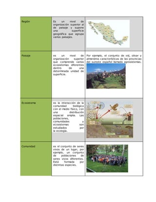 Región Es un nivel de
organización superior al
de paisaje y supone
una superficie
geográfica que agrupa
varios paisajes.
Paisaje es un nivel de
organización superior
que comprende varios
ecosistemas diferentes
dentro de una
determinada unidad de
superficie.
Por ejemplo, el conjunto de vid, olivar y
almendros características de las provincias
del sureste español llamado agrosistemas.
Ecosistema 1. es la interacción de la
comunidad biológica
con el medio físico, con
una distribución
espacial amplia. Las
poblaciones,
comunidades y
ecosistemas son
estudiados por
la ecología.
Comunidad es el conjunto de seres
vivos de un lugar, por
ejemplo, un conjunto
de poblaciones de
seres vivos diferentes.
Está formada por
distintas especies.
 