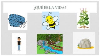 ¿QUÉ ES LA VIDA?
 