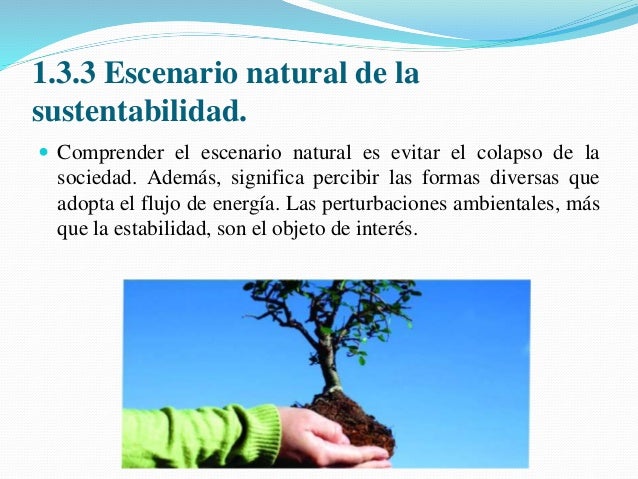 Unidad 1 desarrollo sustentable Antonio Alcantar Lopez