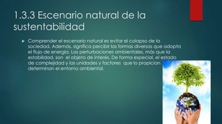 1.3.3 Escenario natural de la
sustentabilidad
 Comprender el escenario natural es evitar el colapso de la
sociedad. Además, significa percibir las formas diversas que adopta
el flujo de energía. Las perturbaciones ambientales, más que la
estabilidad, son el objeto de interés. De forma especial, el estado
de complejidad y las unidades y factores que lo propician
determinan el entorno ambiental.
 