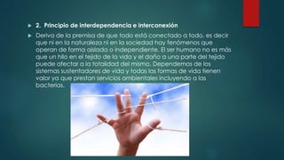  2. Principio de interdependencia e interconexión
 Deriva de la premisa de que todo está conectado a todo, es decir
que ni en la naturaleza ni en la sociedad hay fenómenos que
operan de forma aislada o independiente. El ser humano no es más
que un hilo en el tejido de la vida y el daño a una parte del tejido
puede afectar a la totalidad del mismo. Dependemos de los
sistemas sustentadores de vida y todas las formas de vida tienen
valor ya que prestan servicios ambientales incluyendo a las
bacterias.
 