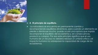  4. El principio de equilibrio.
 La naturaleza se encuentra en permanente cambio y
recomponiendo equilibrios dinámicos, pero cuando un elemento se
pierde o disminuye mucho, puede ocurrir una ruptura que impida
recomponer el equilibrio del ecosistema y, en consecuencia,
producir su colapso. Por eso este principio significa que el uso
humano de un recurso no debiera rebasar un umbral crítico y el
impacto humano no sobrepasar la capacidad de carga de los
ecosistemas.
 