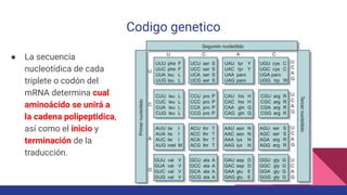 Unidad 1 Dogma central de la biologia molecular.pdf
