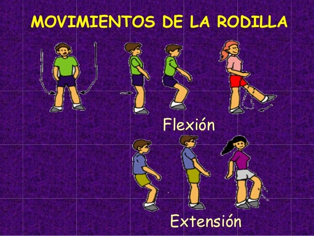 Domino mi cuerpo, Movimientos