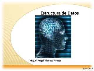 Estructura de Datos




Miguel Angel Vázquez Acosta

                               Julio 2012
 