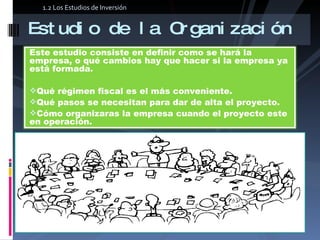 Estudio de la Organización 1.2 Los Estudios de Inversión Este estudio consiste en definir como se hará la empresa, o qué cambios hay que hacer si la empresa ya está formada.  Qué régimen fiscal es el más conveniente.  Qué pasos se necesitan para dar de alta el proyecto.  Cómo organizaras la empresa cuando el proyecto este en operación.  