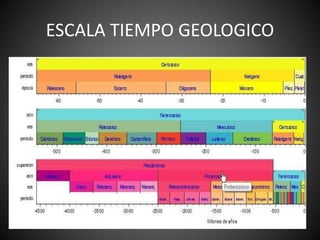 ESCALA TIEMPO GEOLOGICO
 