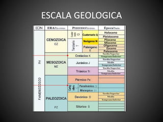 ESCALA GEOLOGICA
 