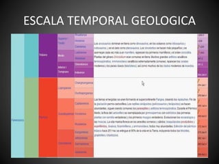 ESCALA TEMPORAL GEOLOGICA
 