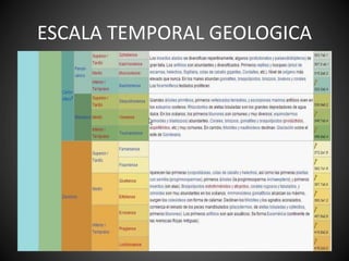 ESCALA TEMPORAL GEOLOGICA
 