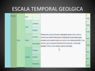 ESCALA TEMPORAL GEOLGICA
 
