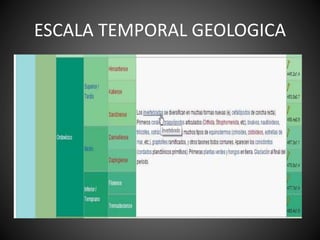 ESCALA TEMPORAL GEOLOGICA
 