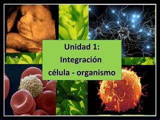 Unidad 1:
   Integración
célula - organismo
 