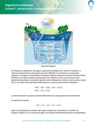 Ingeniería ambiental
Unidad 1. Introducción a la ingeniería ambiental




                                              Ciclo del nitrógeno.

     El nitrógeno es captado por las algas y organismos del fitoplancton, toman el nitrógeno, lo
     reducen químicamente a compuestos de amino (NH2-R) y lo incorporan en compuestos
     orgánicos. Las algas muertas liberan el nitrógeno orgánico al agua en la forma amoniaco (NH3).
     Se libera un ion de las sustancias orgánicas (        ) además, de los que provienen de los
     desechos industriales y la lixiviación agrícola (como fertilizantes y abono); esto se oxida a nitrato
     (     ), por efecto de las bacterias nitrificantes en un proceso denominado nitrificación:

                                     4 NH 4  6O2  4 NO2  8H   4 H 2O
                                                       


                                     4 NO2  2O2  4 NO3
                                         




     La primera relación es para las especies Nitrosomonas y la segunda para las Nitrobacter.

     La reacción se escribe:

                                       NH 4  2O2  NO3  2 H   H 2O
                                                     




     Algunos microorganismos pueden fijar el gas nitrógeno de la atmósfera y convertirlo en
     nitrógeno orgánico. En el caso de los lagos, las bacterias fotosintéticas llamadas cianobacterias,



                    Ciencias de la Salud, Biológicas y Ambientales | Energías renovables              14
 