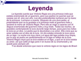 Leyenda La leyenda cuenta que Victoria Regia era una princesa india que estaba enamorada de un guerrero, pero sus padres no querían que se casase con él, sino con otro. Los dos pretendientes lucharon por la mano de la princesa. Lucharon a muerte. Después de una dura pelea, el pretendiente que no le gustaba a la princesa mató al guerrero indio y reclamó la mano de Victoria Regia. Pero ella se negó a casarse con él. Seguía enamorada del guerrero indio y   muy triste. Todas las noches, se quedaba contemplando la luna durante largo tiempo, pues para los indios la luna es un dios. Le pedía que le devolviese a su amor. Ella creía que su amor estaba con el dios de la luna. Un día estaba mirando la luna cerca de un lago. La noche era muy clara y el agua del lago estaba muy limpia, por lo que se podía ver perfectamente en el lago el reflejo de la luna. Victoria Regia creyó que la luna estaba en el lago, y que en la luna estaba su amor, así que saltó al lago para ir en busca de su enamorado y se quedó para siempre allí.  Y es desde entonces que nace la victoria regia en los lagos de Brasil. 