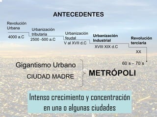 ANTECEDENTES
Revolución
Urbana        Urbanización
              tributaria     Urbanización
4000 a.C                                     Urbanización
             2500 -500 a.C   feudal                               Revolución
                                             Industrial
                             V al XVII d.C                        terciaria
                                              XVIII XIX d.C
                                                                    XX

                                                              60´s – 70´s
    Gigantismo Urbano
             CIUDAD MADRE                    METRÓPOLI


             Intenso crecimiento y concentración
                  en una o algunas ciudades
 