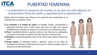 PUBERTAD FEMENINA
• La pubertad es la secuencia de eventos en los que una niña adquiere las
características físicas de adulta y capacidad para la reproducción.
18
Existen diversos factores que influyen en la aparición de la pubertad y en la
velocidad de sus cambios, como:
 La nutrición y el estado de salud: en Estados Unidos, actualmente la
pubertad comienza unos 3 años antes que hace un siglo. Las razones
probablemente incluyen las mejoras en nutrición y en el estado de salud.
 Peso: la pubertad tiende a aparecer antes en las niñas con un sobrepeso,
y a hacerlo más tarde en aquellas con falta de peso y malnutrición.
 Genética: la pubertad aparece antes en las niñas cuyas madres maduraron
antes.
 Grupo étnico: la pubertad tiende a aparecer antes en las niñas de
ascendencias africana y latinoamericana que en niñas de origen aiático o
caucásico no latinoamericano.
 