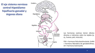 19
El eje sistema nervioso
central-hipotálamo-
hipofisario-gonadal y
órganos diana
Las hormonas ováricas tienen efectos
directos e indirectos sobre los tejidos (p.
ej., huesos, piel, músculo).
FSH = hormona foliculoestimulante; GnRH
= hormona liberadora de gonadotrofinas;
LH = hormona luteinizante.
 