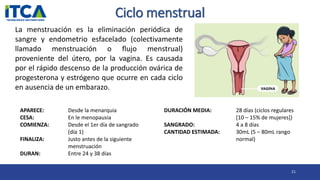 Ciclo menstrual
21
La menstruación es la eliminación periódica de
sangre y endometrio esfacelado (colectivamente
llamado menstruación o flujo menstrual)
proveniente del útero, por la vagina. Es causada
por el rápido descenso de la producción ovárica de
progesterona y estrógeno que ocurre en cada ciclo
en ausencia de un embarazo.
APARECE: Desde la menarquia
CESA: En le menopausia
COMIENZA: Desde el 1er día de sangrado
(día 1)
FINALIZA: Justo antes de la siguiente
menstruación
DURAN: Entre 24 y 38 días
DURACIÓN MEDIA: 28 días (ciclos regulares
[10 – 15% de mujeres])
SANGRADO: 4 a 8 días
CANTIDAD ESTIMADA: 30mL (5 – 80mL rango
normal)
 