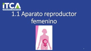 1.1 Aparato reproductor
femenino
9
 