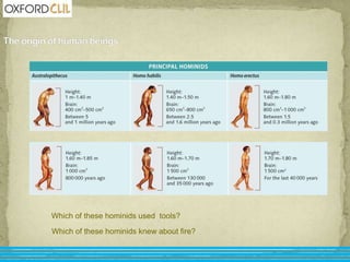 Which of these hominids used tools? 
Which of these hominids knew about fire? 
 