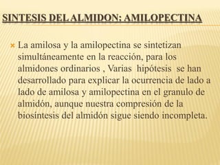 UNIDAD 1 PARTE 6 CEREALES(1).pdf......... | PDF
